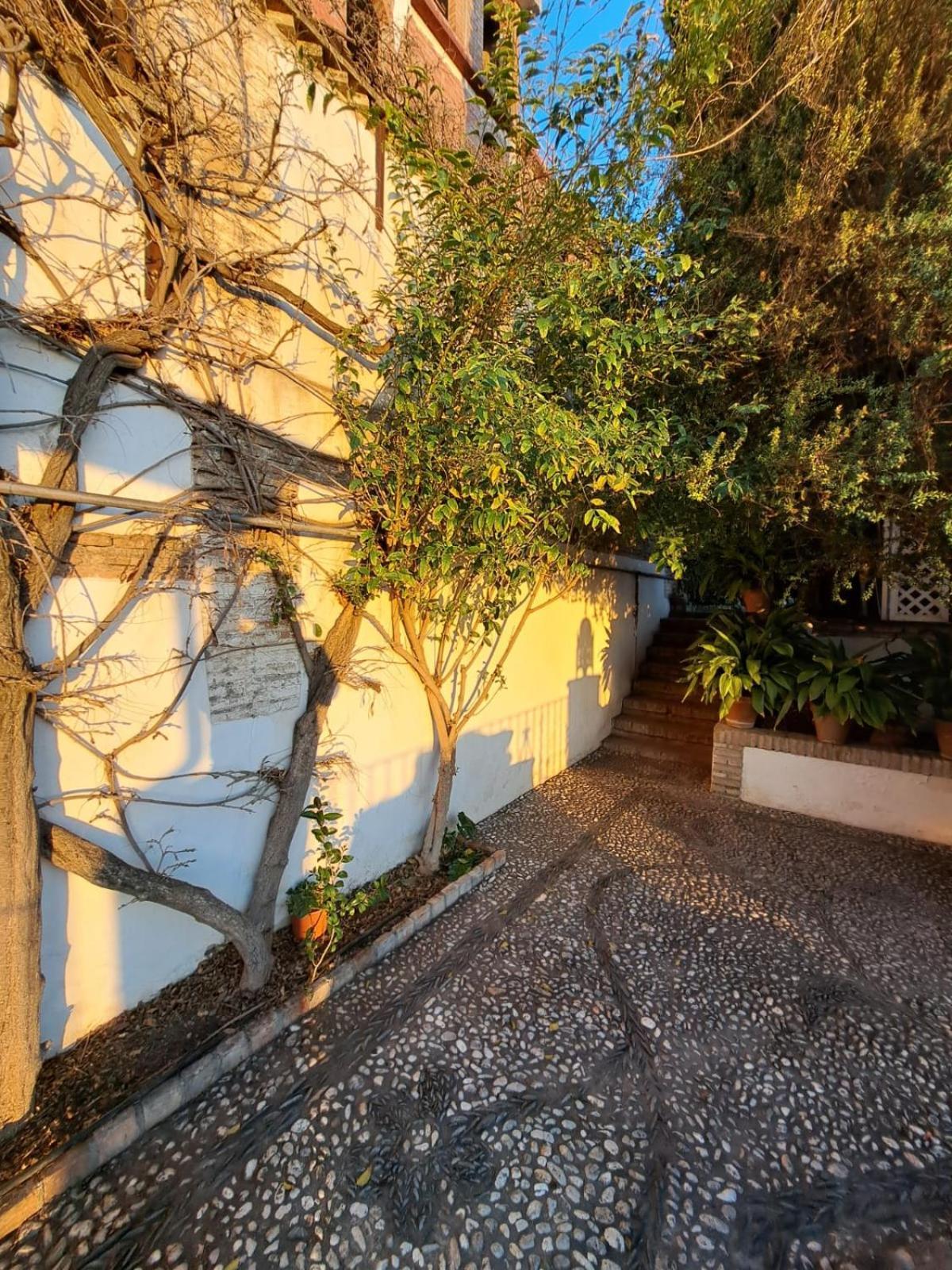 Carmen De Belen Apartment Granada Exterior photo